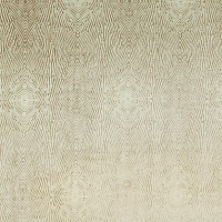 SPLENDID 01 BEIGE Коллекция TERRANOVA