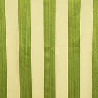 ANGEL & MUSIC STRIPE 6 GREEN Коллекция EXCLUSIVE