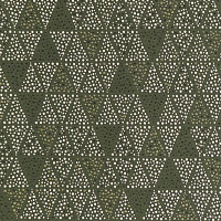 REGAL 50 GREEN Коллекция WINTER