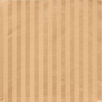 STRIPE AMORINI 23 CREAM Коллекция EXCLUSIVE