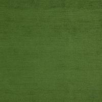 BARON 39 KIWI Коллекция BARON
