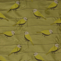 KORTA FIR GREEN Коллекция EXCLUSIVE