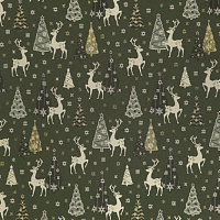WONDER 50 GREEN Коллекция WINTER