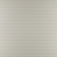 GUINEA 02 OYSTER*  Коллекция TERRANOVA